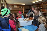 2015-10-21_29_Sauerkraut_machen_mit Schulklasse_RM